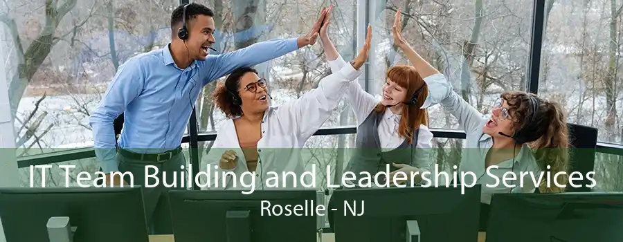 IT Team Building and Leadership Services Roselle - NJ