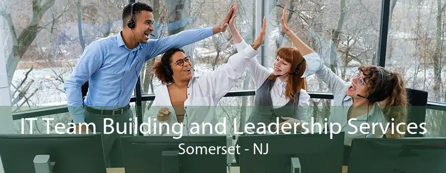 IT Team Building and Leadership Services Somerset - NJ