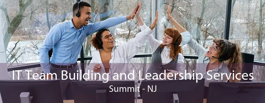 IT Team Building and Leadership Services Summit - NJ