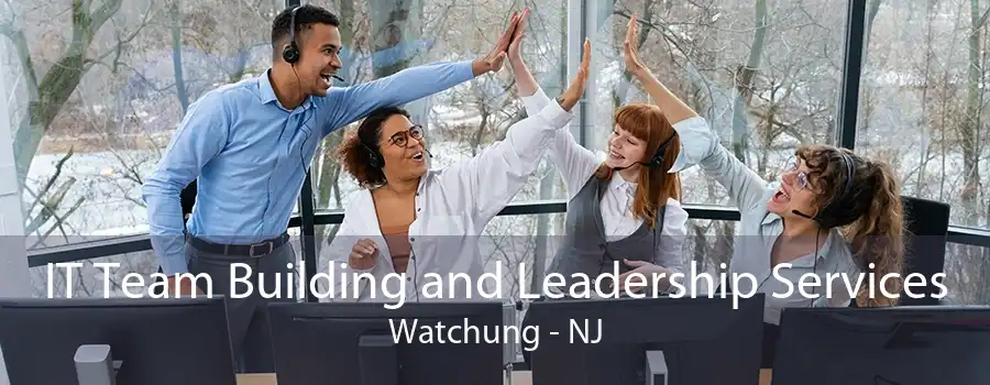 IT Team Building and Leadership Services Watchung - NJ