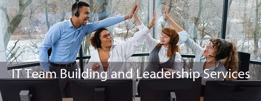 IT Team Building and Leadership Services 