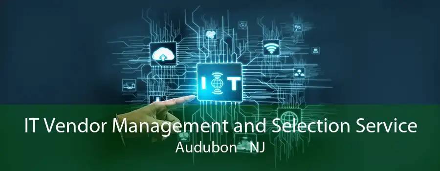 IT Vendor Management and Selection Service Audubon - NJ