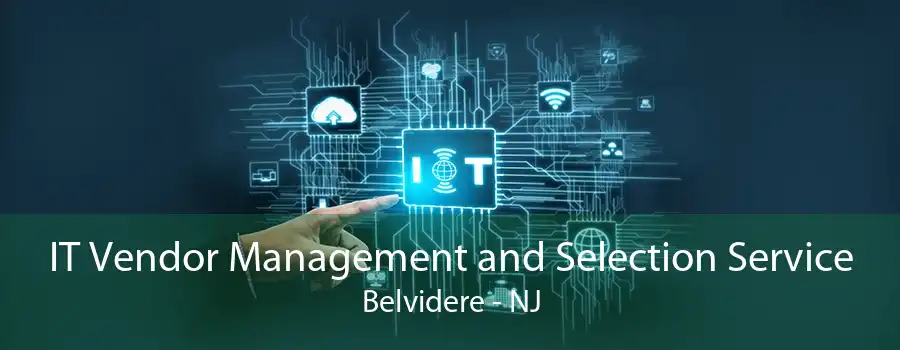 IT Vendor Management and Selection Service Belvidere - NJ