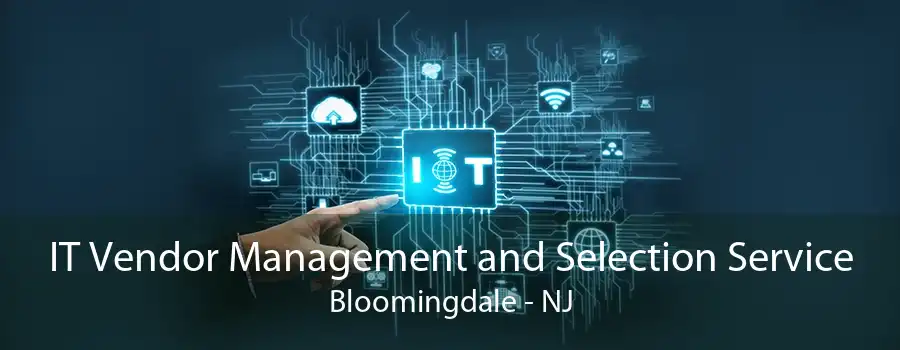 IT Vendor Management and Selection Service Bloomingdale - NJ