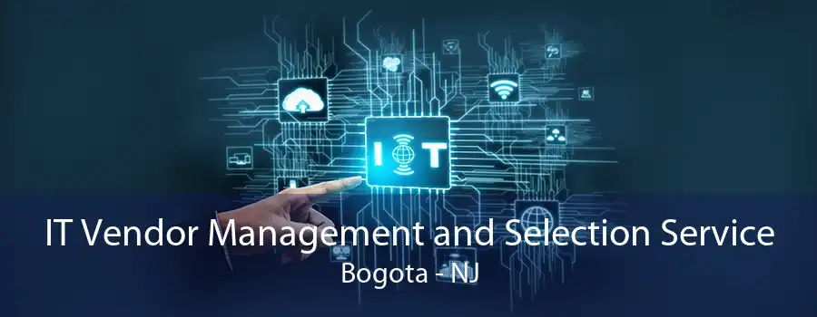 IT Vendor Management and Selection Service Bogota - NJ