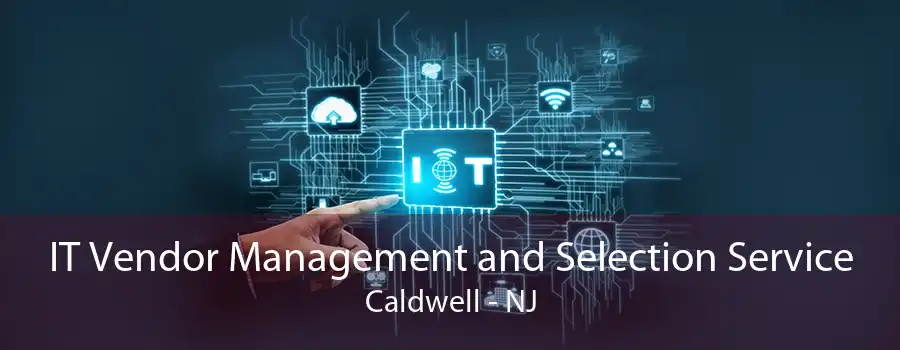 IT Vendor Management and Selection Service Caldwell - NJ