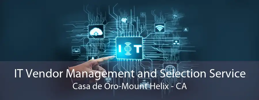IT Vendor Management and Selection Service Casa de Oro-Mount Helix - CA