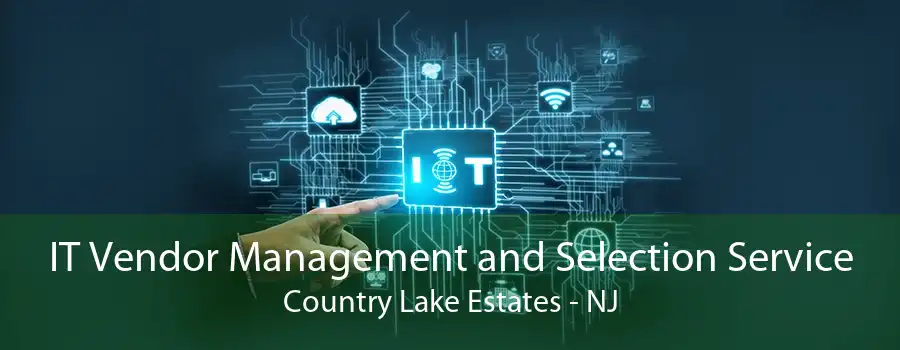 IT Vendor Management and Selection Service Country Lake Estates - NJ