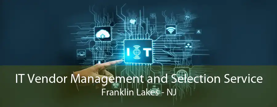 IT Vendor Management and Selection Service Franklin Lakes - NJ