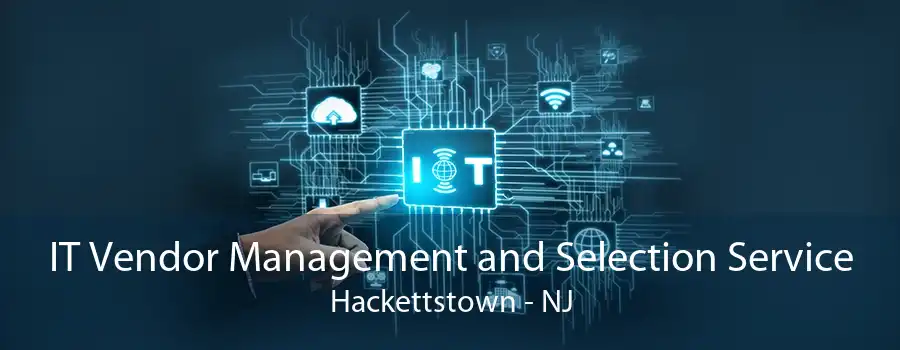 IT Vendor Management and Selection Service Hackettstown - NJ