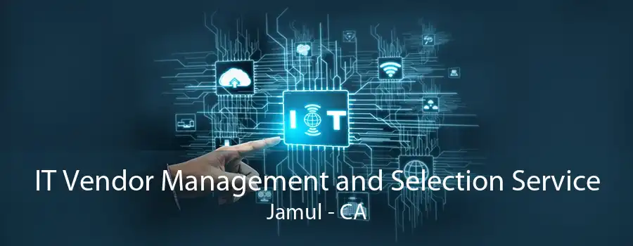 IT Vendor Management and Selection Service Jamul - CA