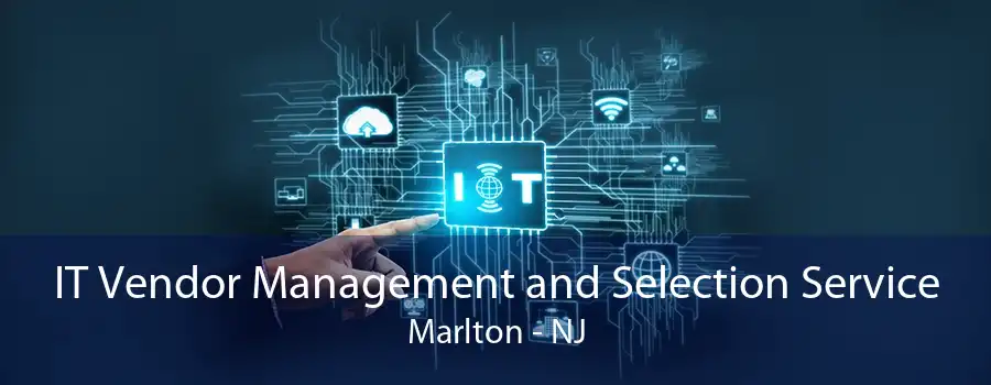 IT Vendor Management and Selection Service Marlton - NJ
