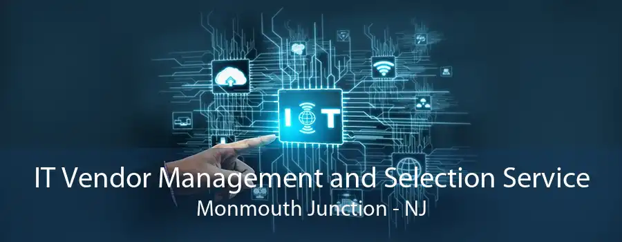 IT Vendor Management and Selection Service Monmouth Junction - NJ