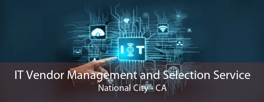 IT Vendor Management and Selection Service National City - CA