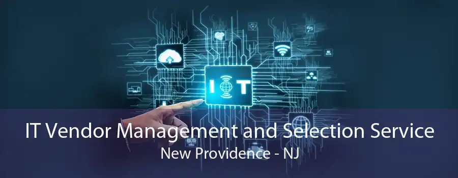 IT Vendor Management and Selection Service New Providence - NJ