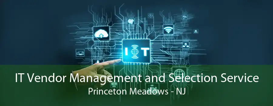 IT Vendor Management and Selection Service Princeton Meadows - NJ