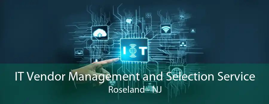 IT Vendor Management and Selection Service Roseland - NJ