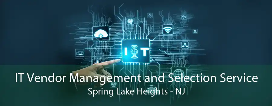 IT Vendor Management and Selection Service Spring Lake Heights - NJ