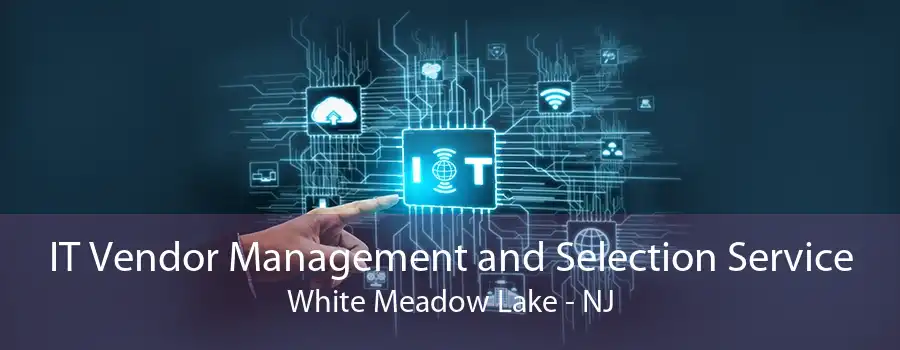 IT Vendor Management and Selection Service White Meadow Lake - NJ