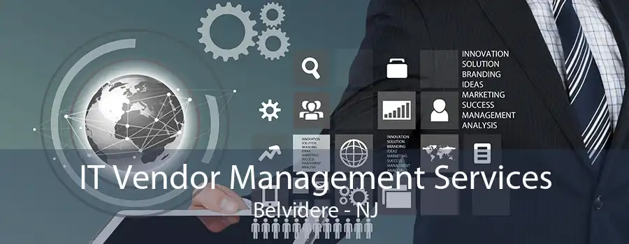 IT Vendor Management Services Belvidere - NJ