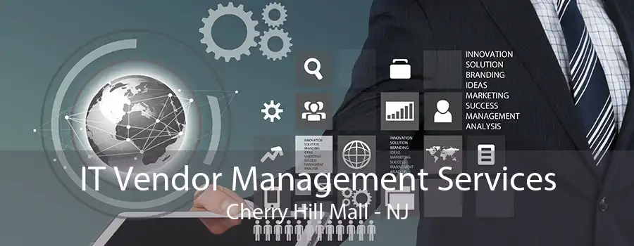 IT Vendor Management Services Cherry Hill Mall - NJ