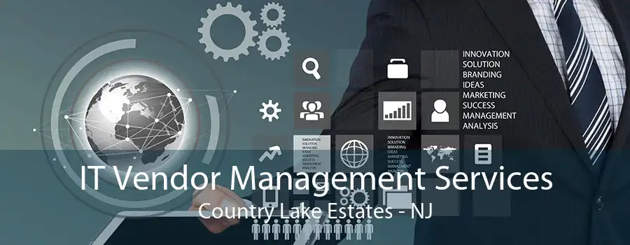 IT Vendor Management Services Country Lake Estates - NJ