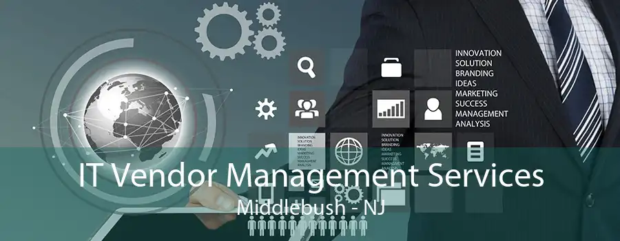 IT Vendor Management Services Middlebush - NJ