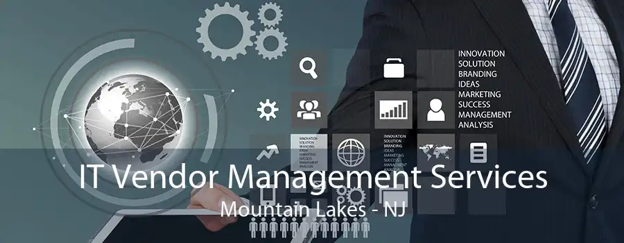 IT Vendor Management Services Mountain Lakes - NJ