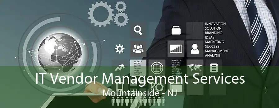 IT Vendor Management Services Mountainside - NJ