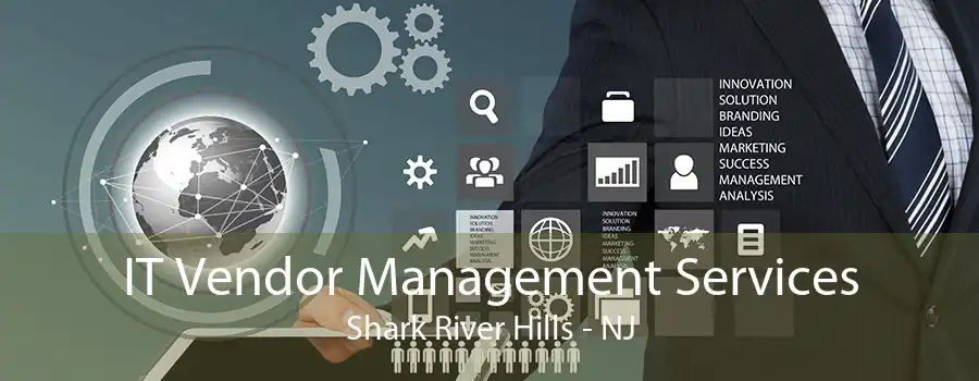 IT Vendor Management Services Shark River Hills - NJ