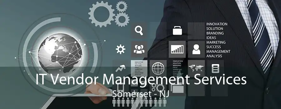 IT Vendor Management Services Somerset - NJ