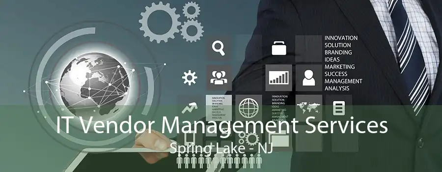 IT Vendor Management Services Spring Lake - NJ