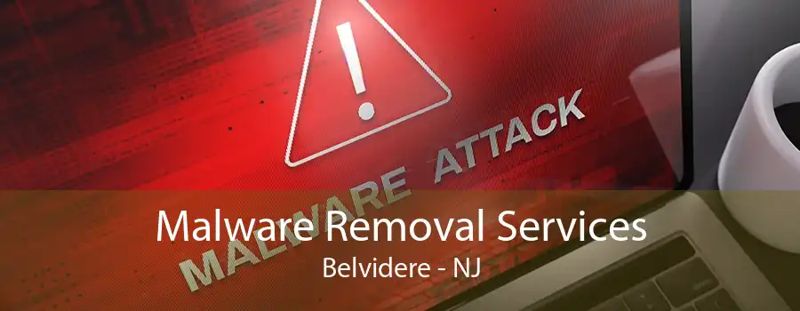 Malware Removal Services Belvidere - NJ