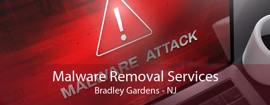 Malware Removal Services Bradley Gardens - NJ