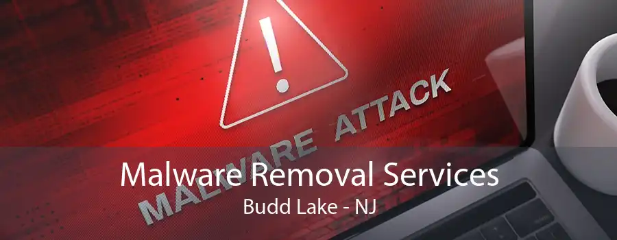 Malware Removal Services Budd Lake - NJ