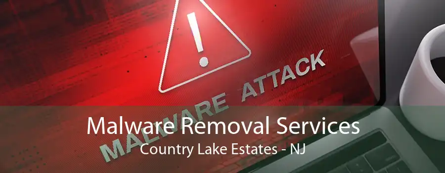 Malware Removal Services Country Lake Estates - NJ