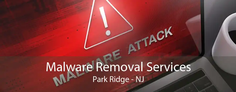 Malware Removal Services Park Ridge - NJ