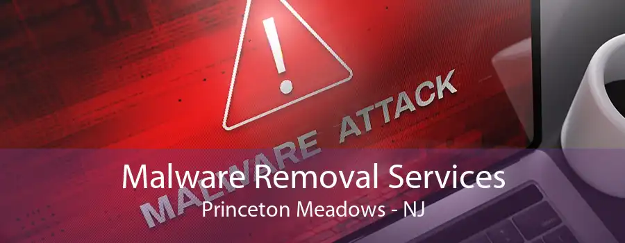 Malware Removal Services Princeton Meadows - NJ