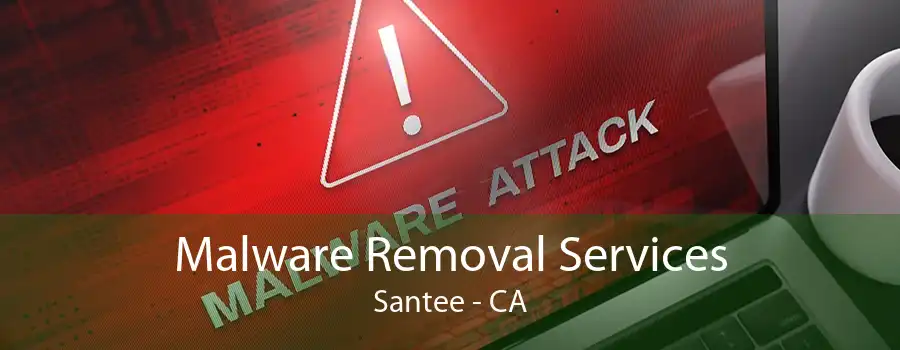 Malware Removal Services Santee - CA