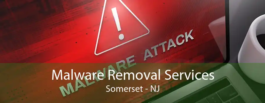 Malware Removal Services Somerset - NJ