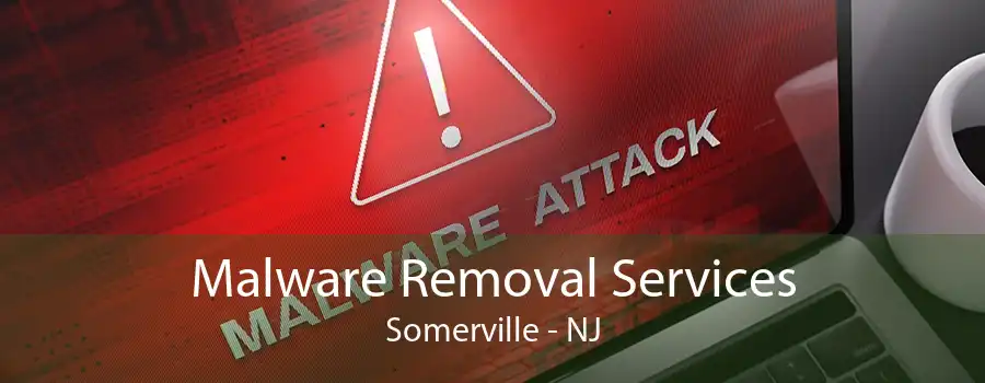 Malware Removal Services Somerville - NJ