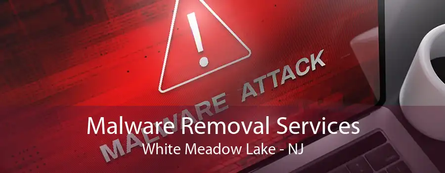 Malware Removal Services White Meadow Lake - NJ