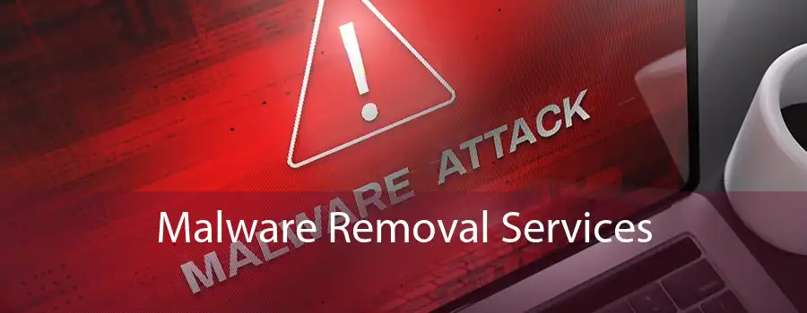 Malware Removal Services 