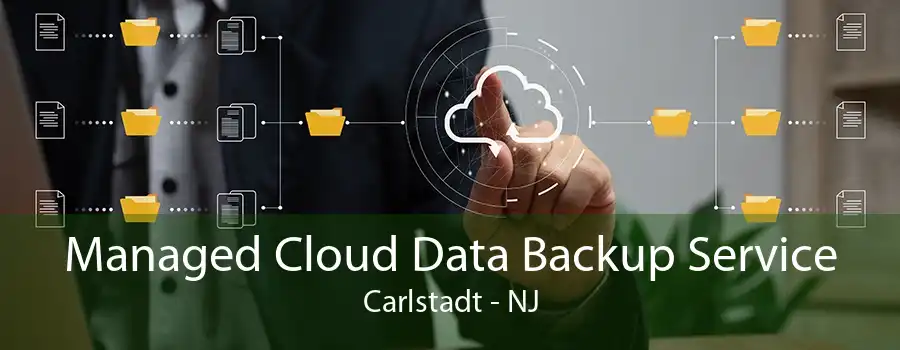 Managed Cloud Data Backup Service Carlstadt - NJ