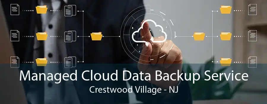 Managed Cloud Data Backup Service Crestwood Village - NJ