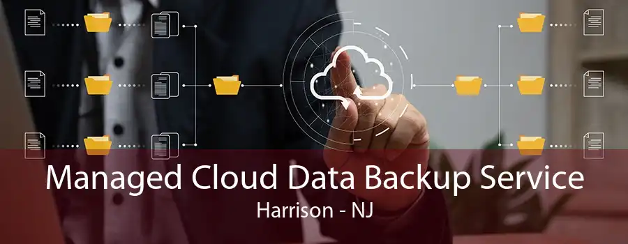 Managed Cloud Data Backup Service Harrison - NJ