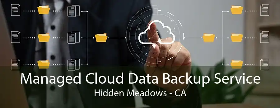 Managed Cloud Data Backup Service Hidden Meadows - CA