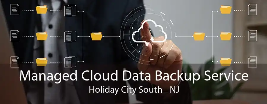 Managed Cloud Data Backup Service Holiday City South - NJ