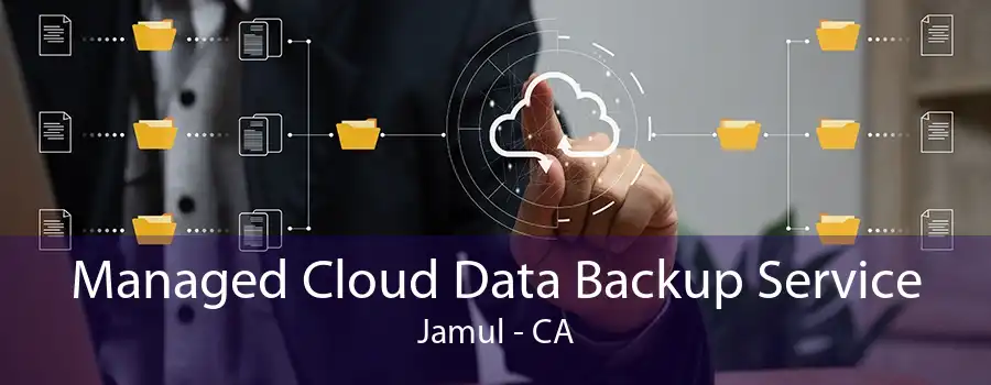 Managed Cloud Data Backup Service Jamul - CA