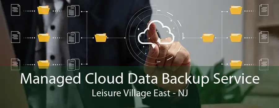 Managed Cloud Data Backup Service Leisure Village East - NJ